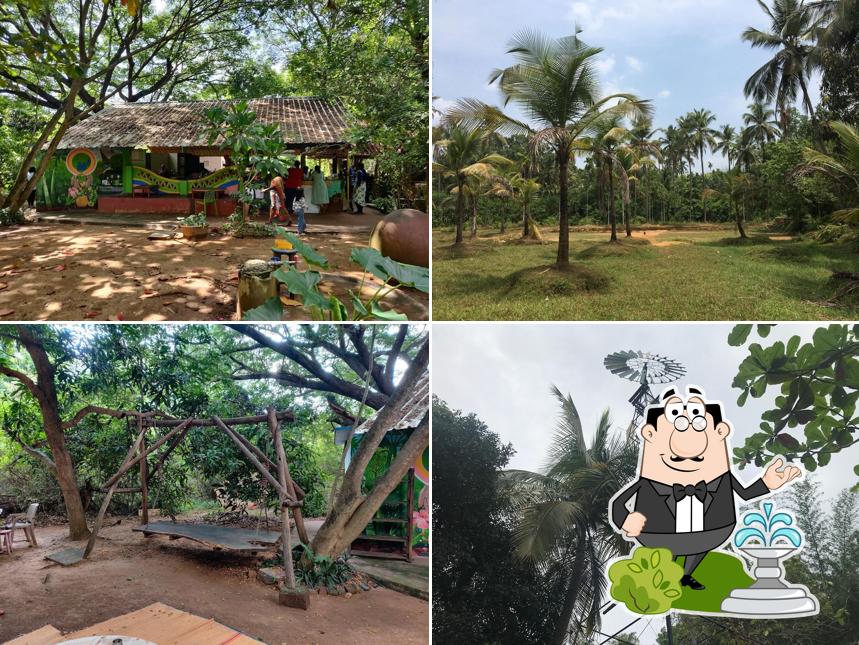 Check out the outside part of Solitude Farm of Auroville