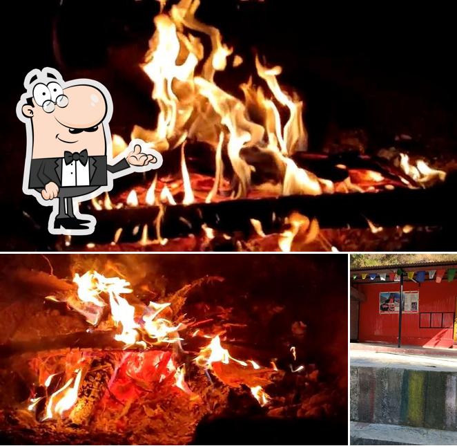 Among various things one can find interior and food at The Hideout Cafe