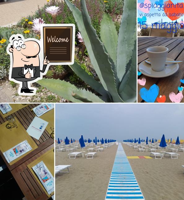 Bagno Anita 190 Cervia