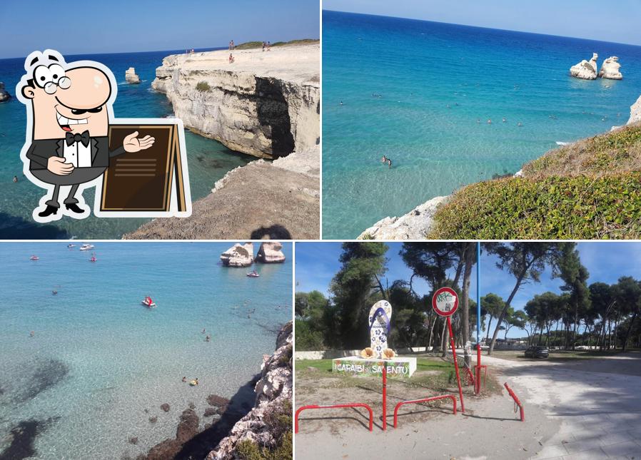 Curiosa tra gli esterni di El Chiringuito Beach Restaurant