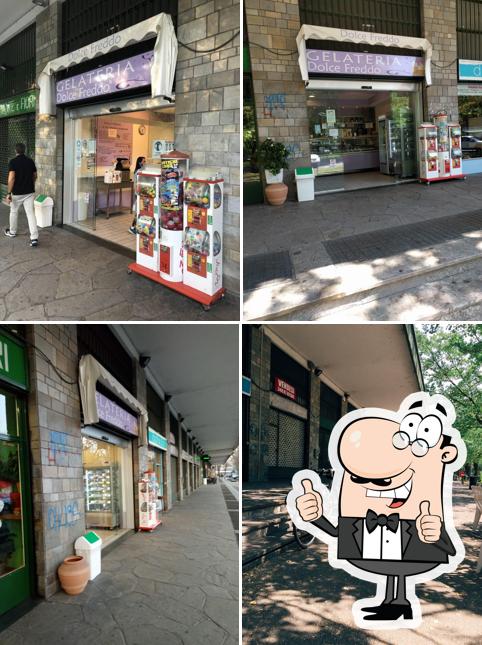 Gelateria Dolcefreddo