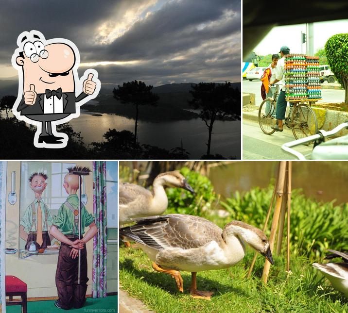 See the photo of Hotel Embassy and Restaurant The "Taste" Shillong