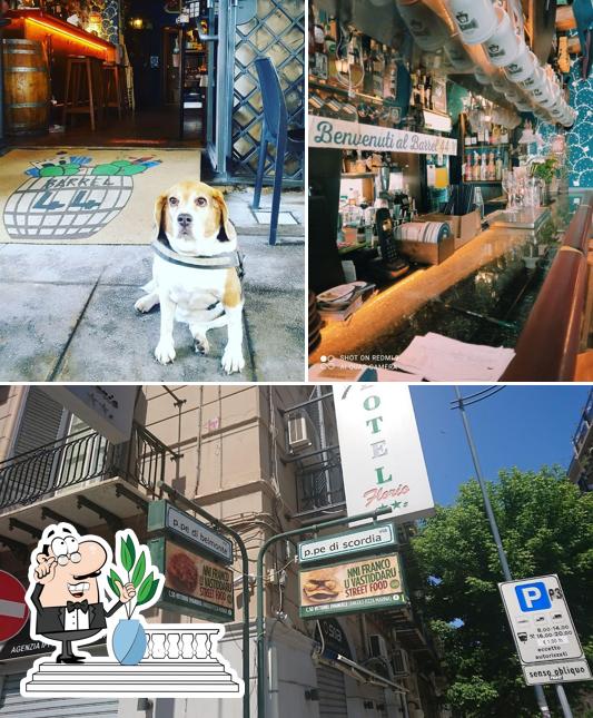 Gli esterni di BARREL 44