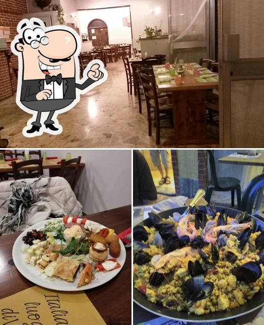 Dai un'occhiata agli interni di Tortuga