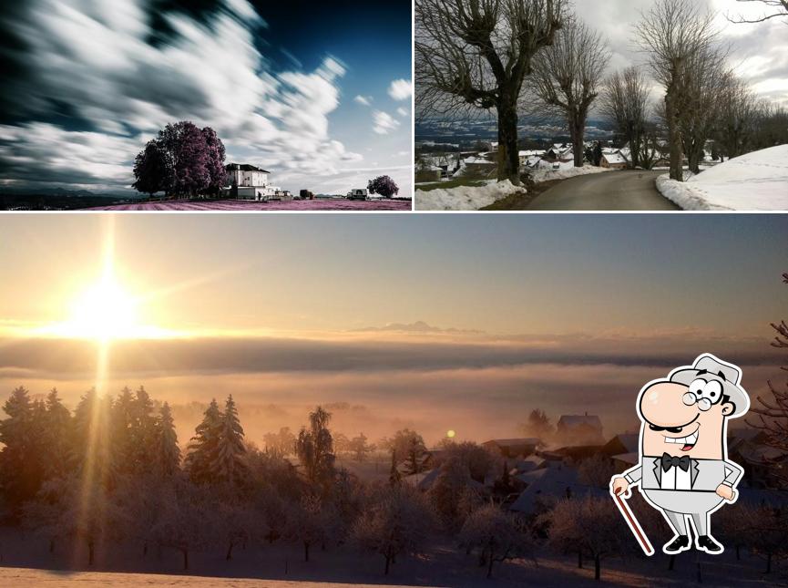 Guarda la parte esterna di Hotel & Restaurant Nollen