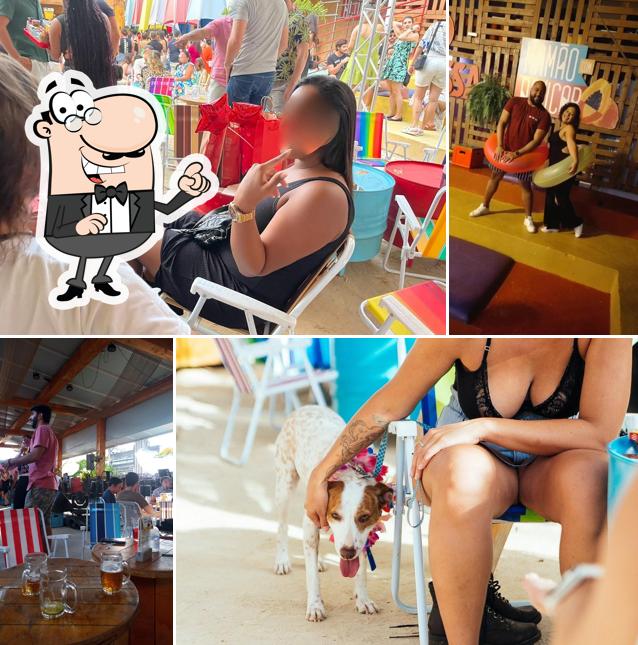 O interior do Mamão Com Açúcar