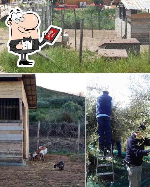 Goditi la vista dagli esterni di Fattoria Sant'Anna