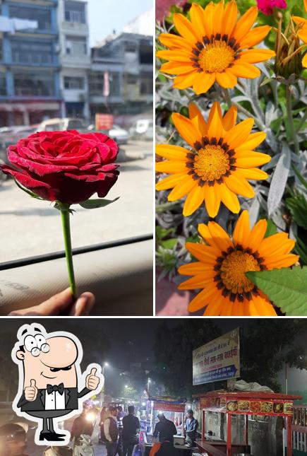 Look at the picture of Meera food court & cafe