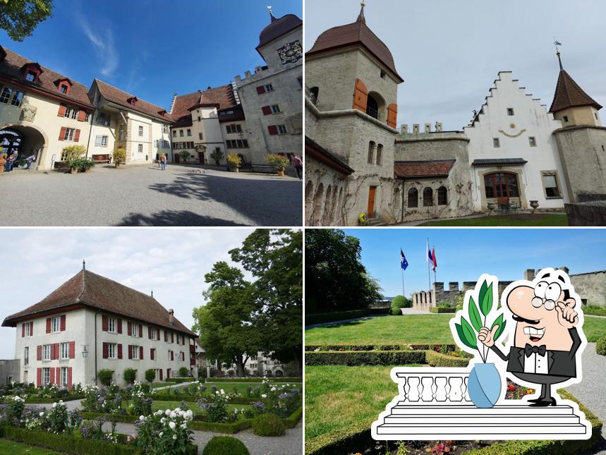 Curiosa tra la parte esterna di Schloss Lenzburg - Museum Aargau