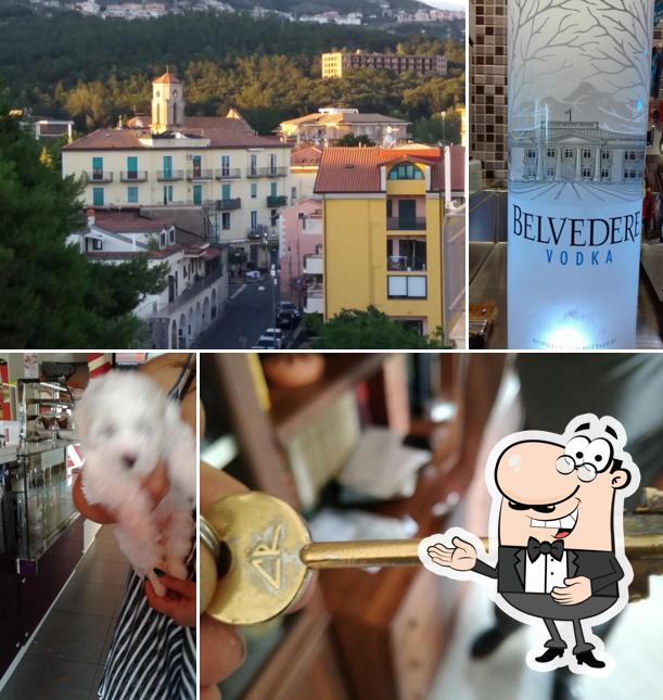 Gala Cafe Di Angelo De Vivo