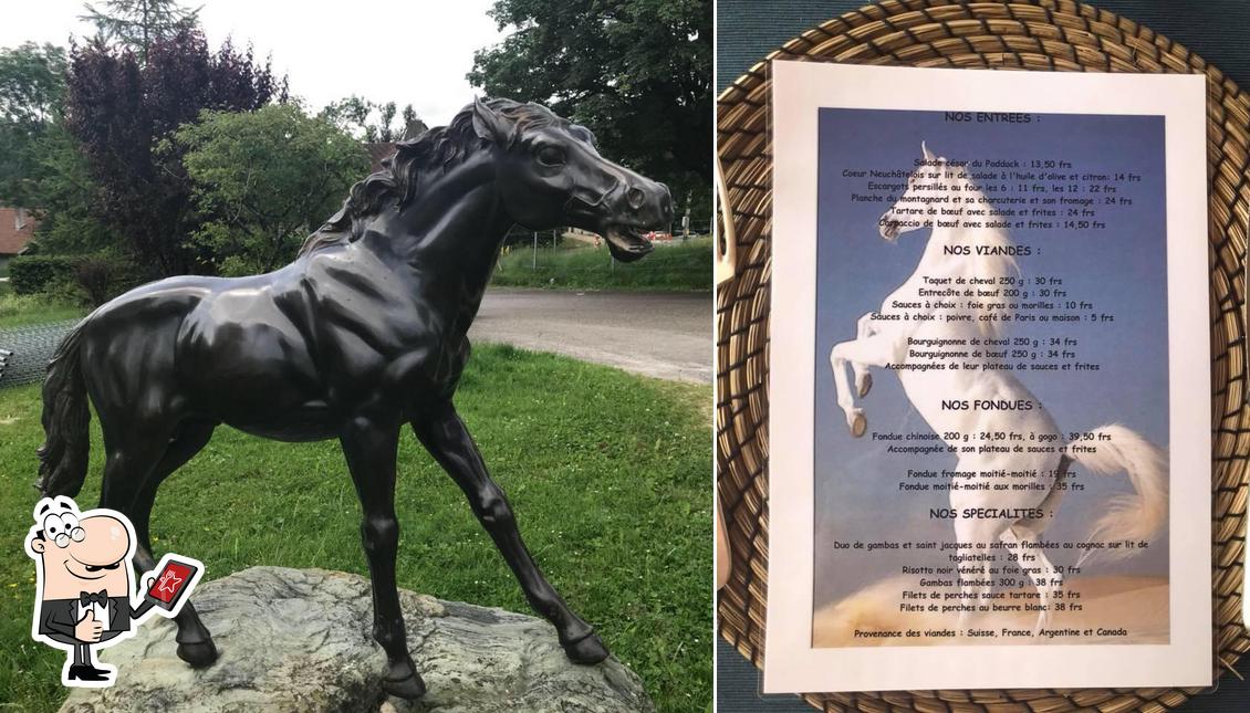 Ecco un'immagine di Le Paddock