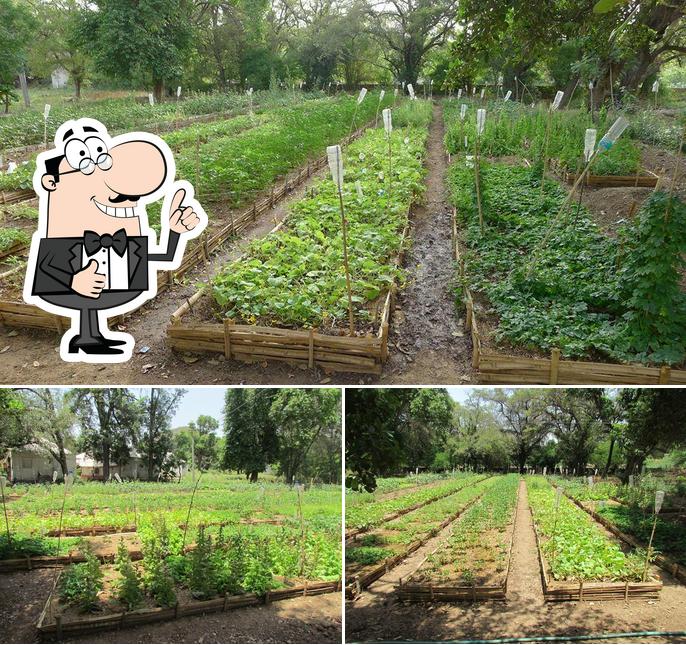 The Ummaid Bagh Resort Bundi