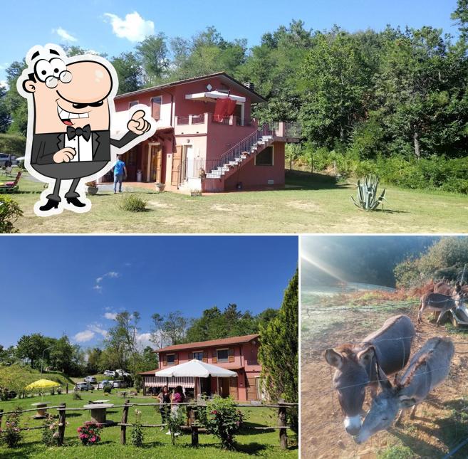 Gli esterni di Agriturismo "La Selva" di Vannini Eugenio Franco