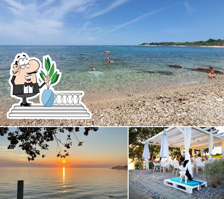 Puoi goderti l'aria fresca dal dehors di Dog Dreams Beach and Bar