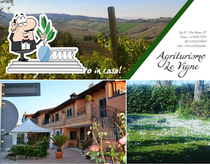 Guarda gli esterni di Agriturismo Le Vigne