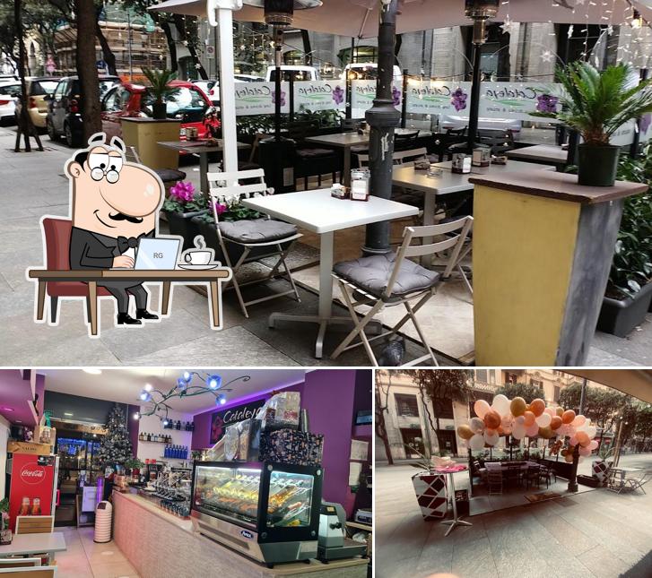 Gli interni di Cataleya long drinks