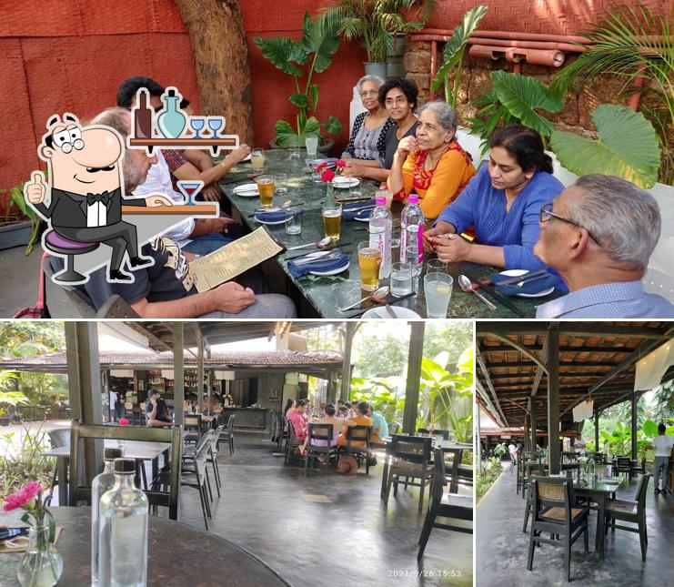 Check out how Bomras looks inside