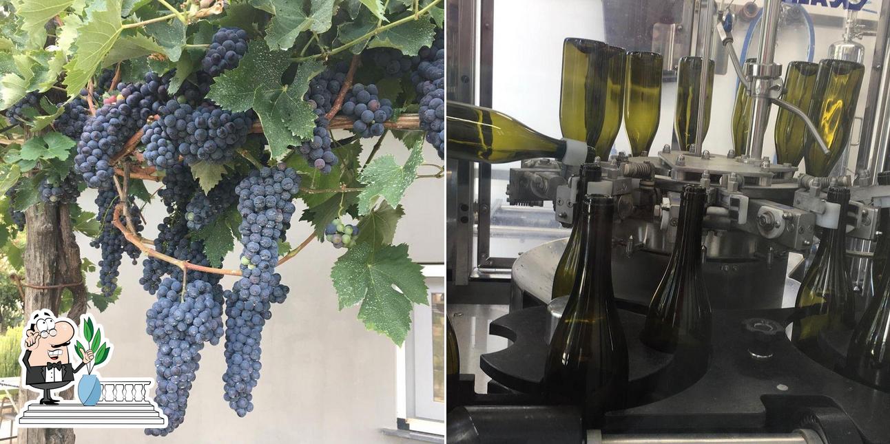 Gli esterni di Temi Di Terra