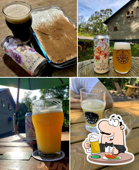 Oripacha Cervejaria Pomar