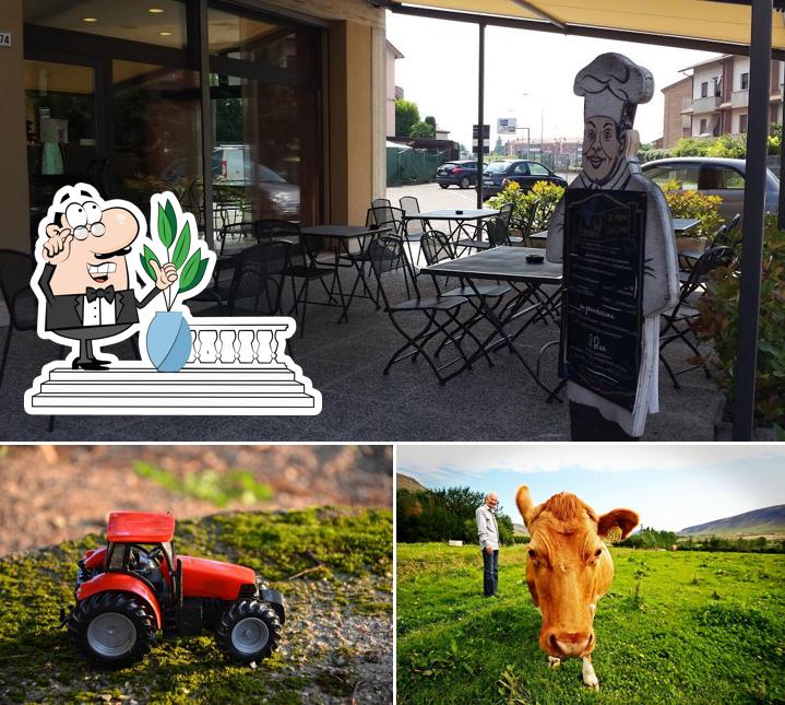 Gli esterni di Bar Frenesia Cafè