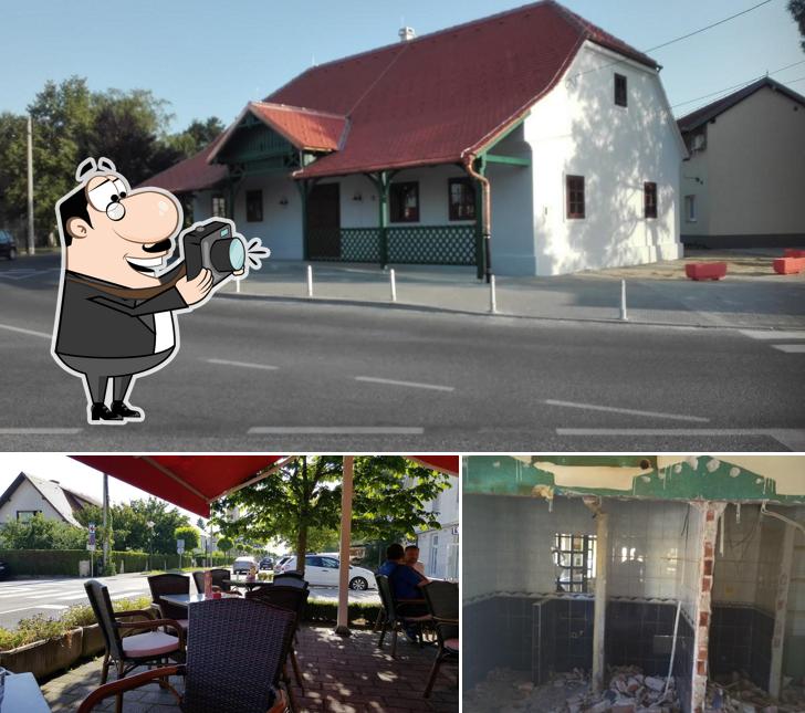 Immagine di Zeppelin