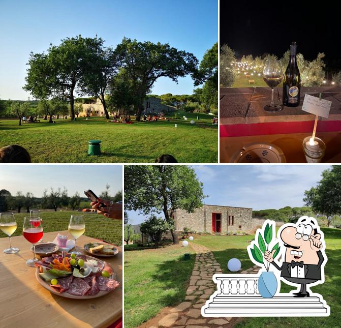 Guarda gli esterni di LQ - Le Querce - Wine Tasting