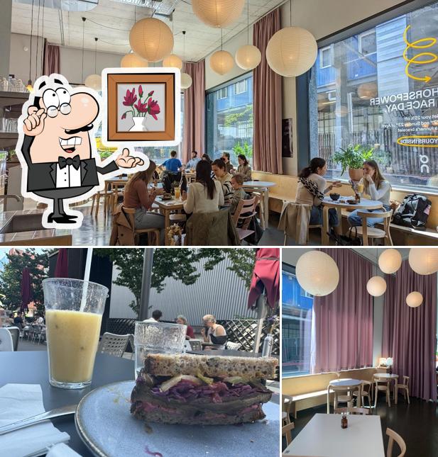 Dai un'occhiata agli interni di Roots