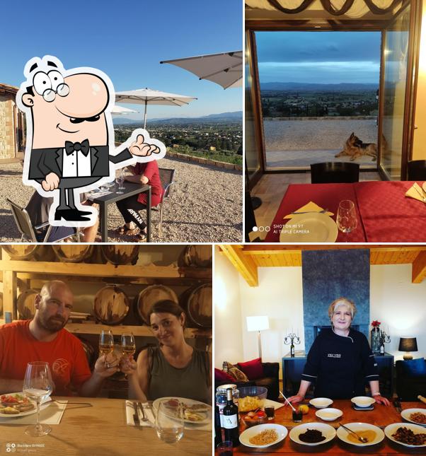 Gli interni di TILI 21 Cantina Bio Organic Winery Degustazioni & Winetasting Assisi DOC, Olio EVO ed altri prodotti tipici