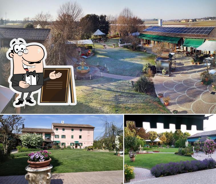 Curiosa tra l'area esterna di Osteria alla Pasina