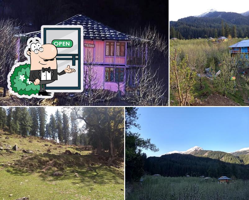 Majestic House and Bonkers on the go Cafe