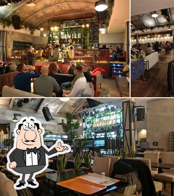 Dai un'occhiata agli interni di Vinile