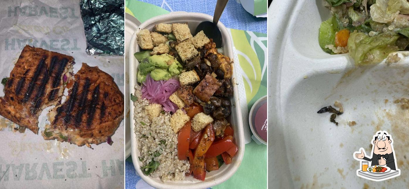 Meals at Harvest Salad Co