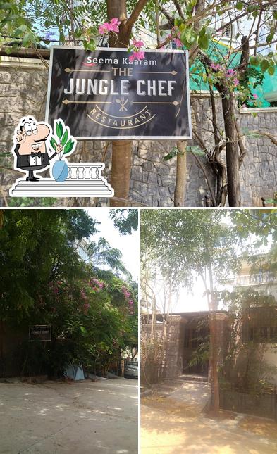 Jungle chef seema kaaram