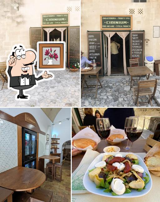 Gli interni di Cibinium