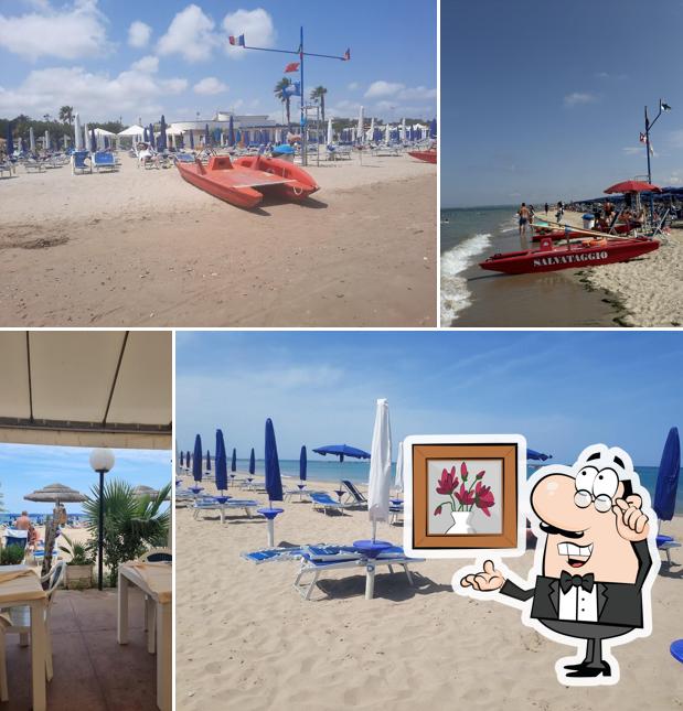 Dai un'occhiata agli interni di Conchiglia Azzurra