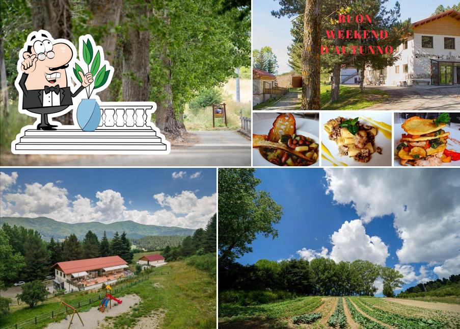 Goditi la vista dall'area esterna di Lorica Parco Natura