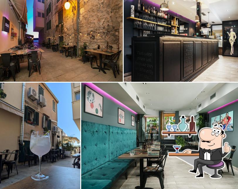 Ayla Dalmatian Kitchen Lab