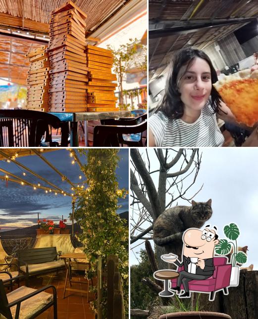 Gli interni di Bar Meeting