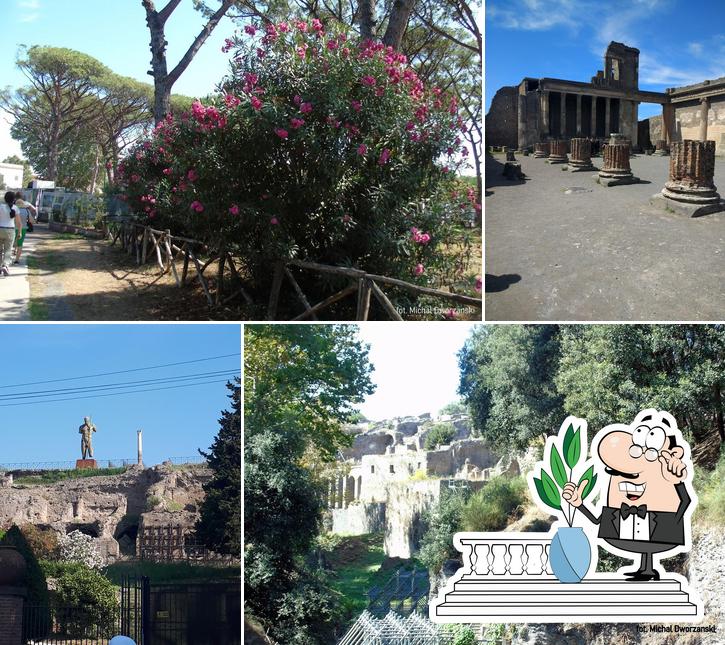 Coffee Shop Vittoria