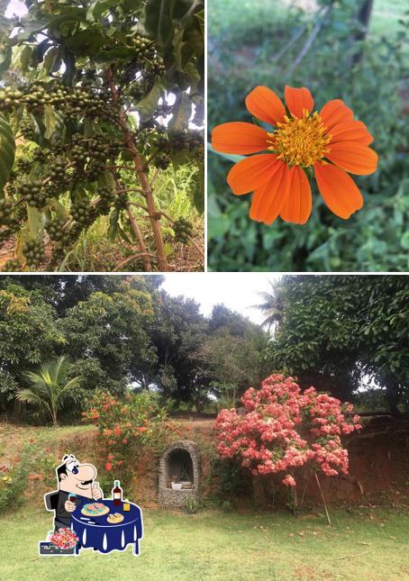 Sítio São Jeronimo