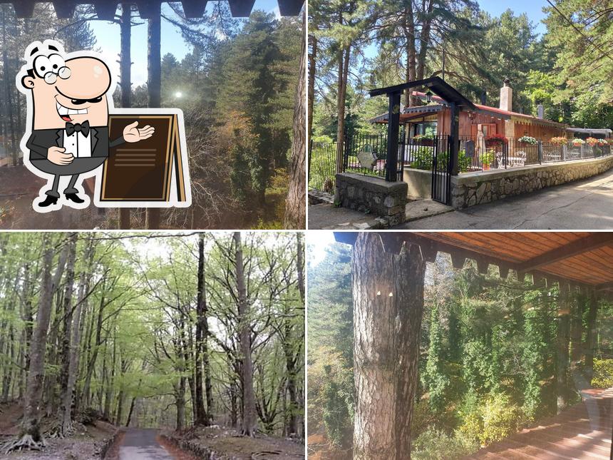 Rifugio Tre Pini di Celentano Raffaela