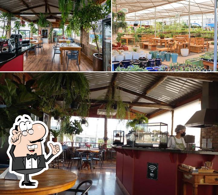 Veja imagens do interior do Spagnhol Plantas Ornamentais