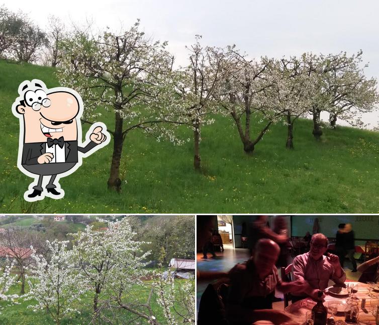 Azzolin Renata si caratterizza per la esterno e bancone da bar