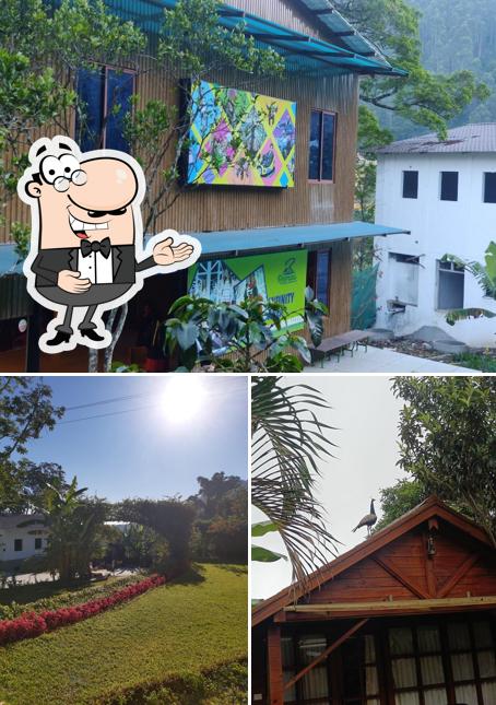 Here's a pic of Remas Resorts and Adventure Park