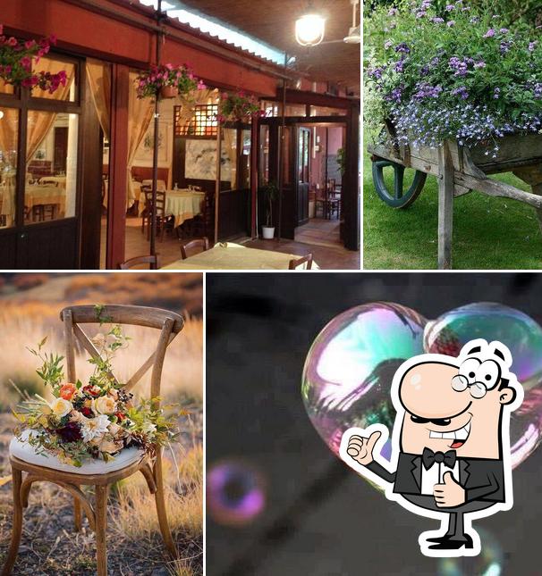 Quelli del ristorante poggio dei pini a monterotondo 06 8858 8092