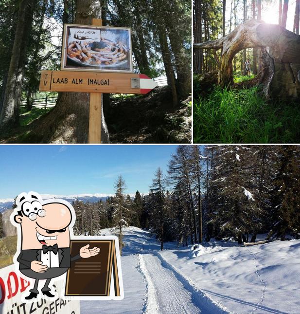 Gli esterni di Malga Laab