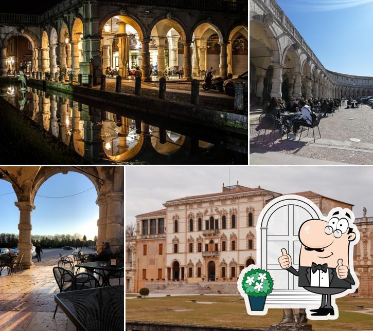 Curiosa tra l'area esterna di Caffè Colonna