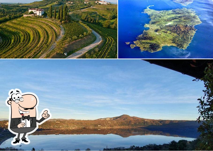 Goditi la vista dall'area esterna di Paganelli's