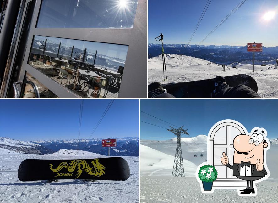 Curiosa tra gli esterni di Restaurant Das Elephant