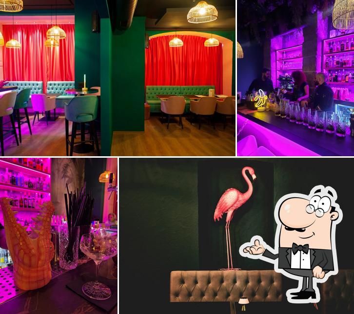 Gli interni di Pink Cocodrilo